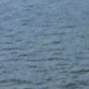 Meet your Posher, Tasha